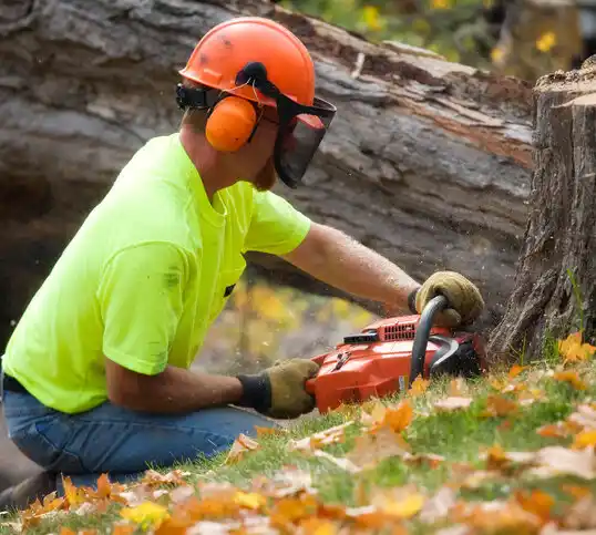 tree services Firthcliffe